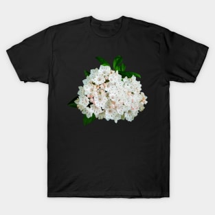 Mountain Laurel T-Shirt